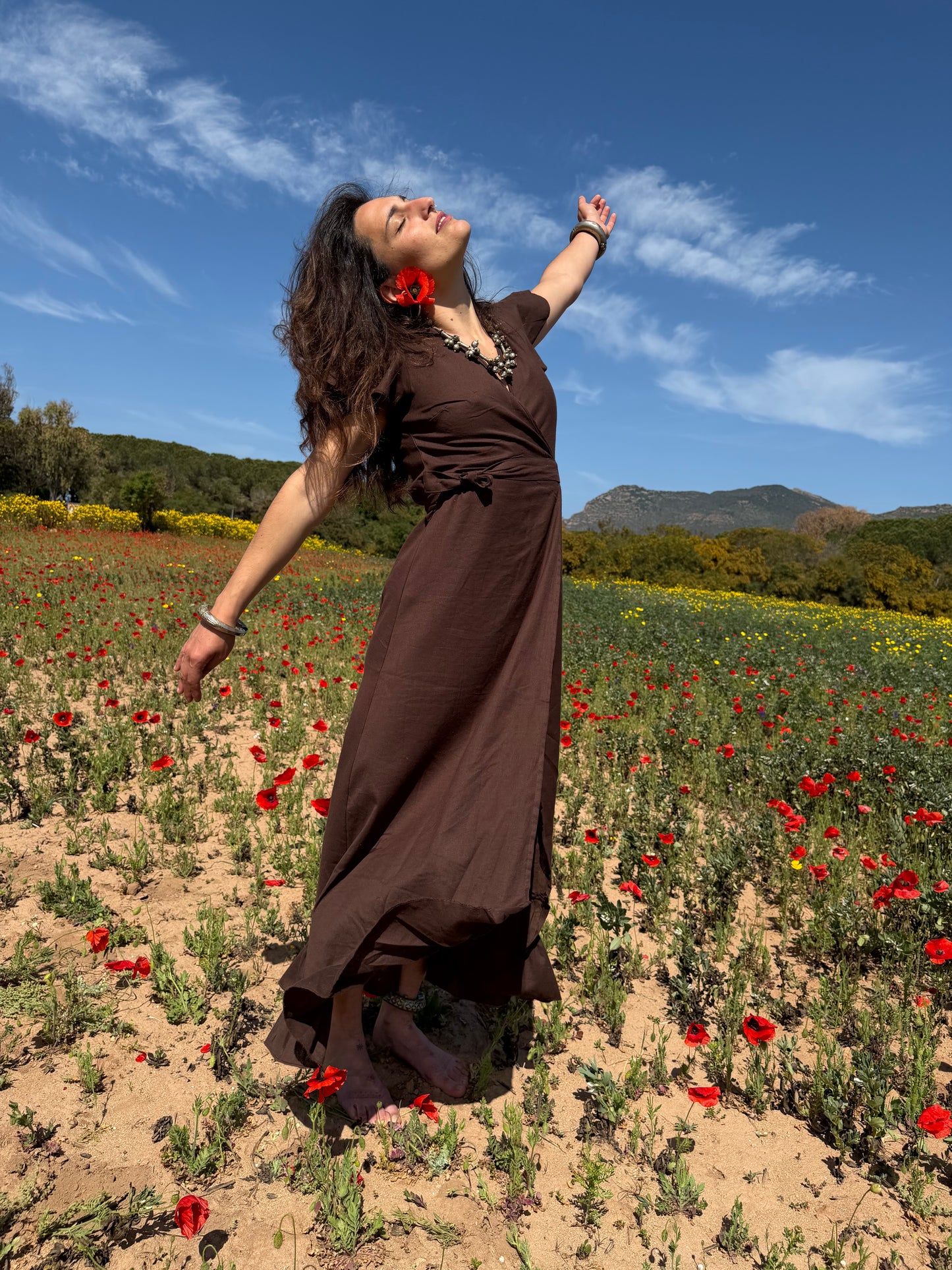 Chocolate Poppy Dress