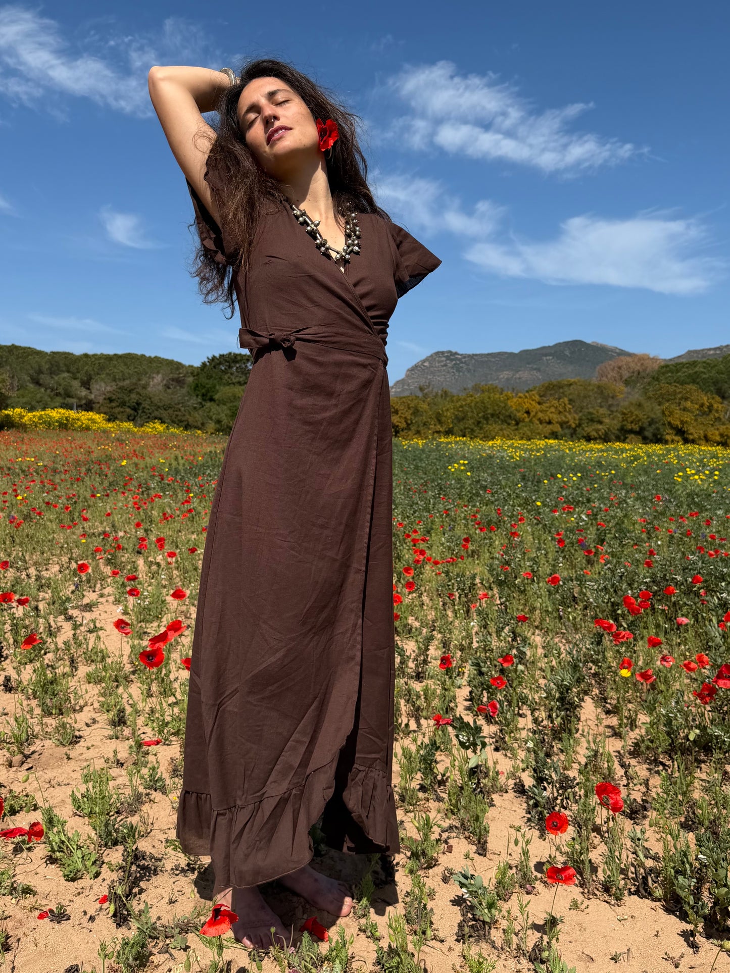 Chocolate Poppy Dress