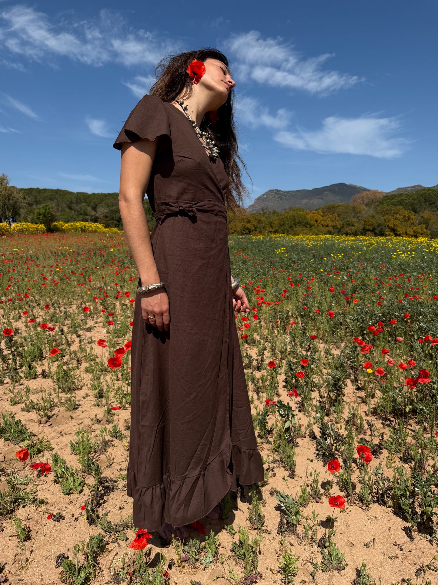 Chocolate Poppy Dress